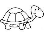 Kaplumbağa Boyama