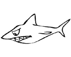 Köpek Balığı Boyama