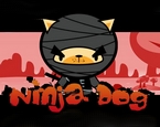 Ninja Köpek Oyna